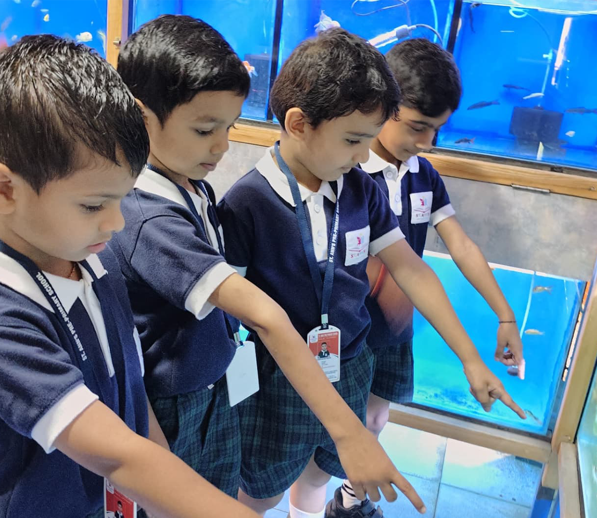 Field Trip – Aquarium